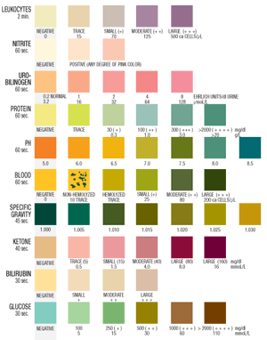 Urine Drug Test Color Chart